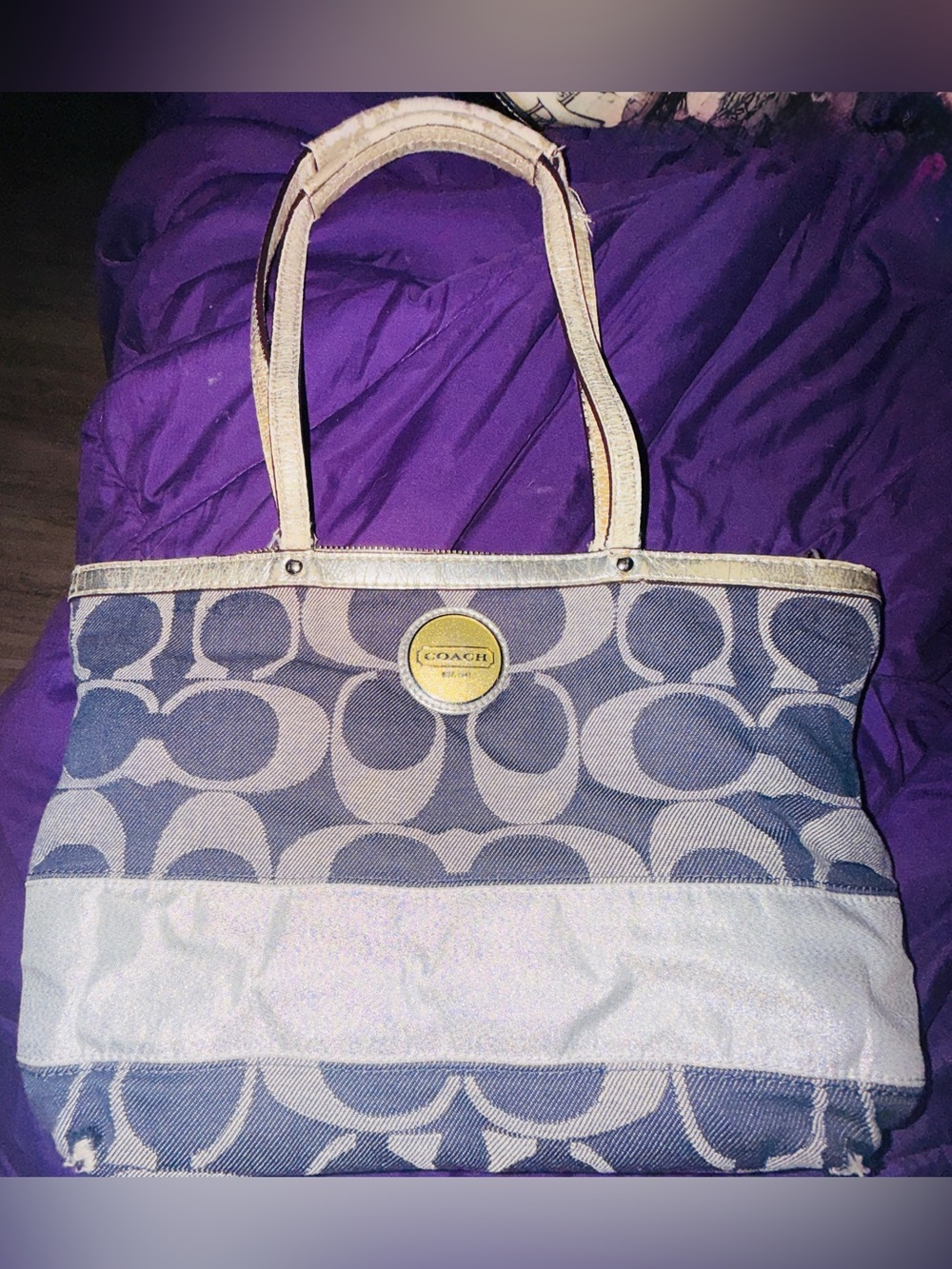 Coach Blue and Cream Signature Tote